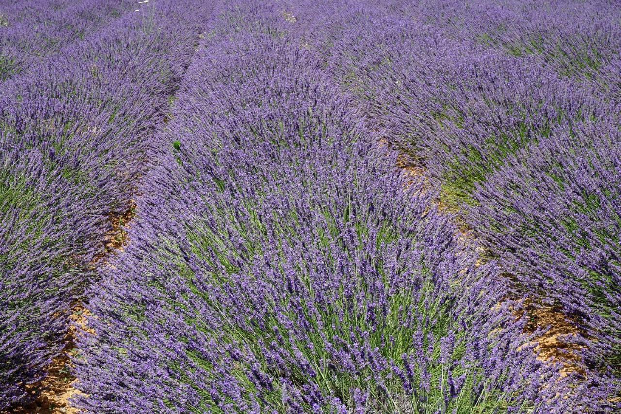 Appartement T2 Cosy Sur Aix Aix-en-Provence Esterno foto
